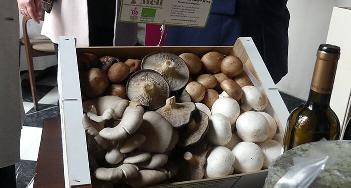 Las exportaciones de productos conquenses siguen sumando pese a la crisis inflacionista