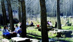 mini cuenca jv lardero0003