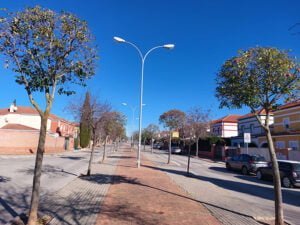 Recta final en la campaña anual de poda de árboles urbanos en Cabanillas