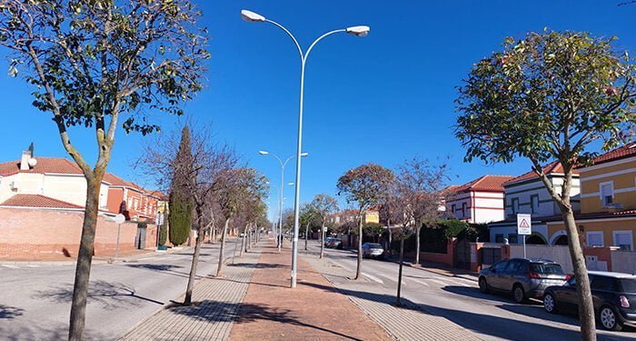 Recta final en la campaña anual de poda de árboles urbanos en Cabanillas