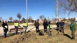 El Ayuntamiento de Cuenca replanta más de medio millar de árboles en viales y parques a través del Plan de Reposición de Marras