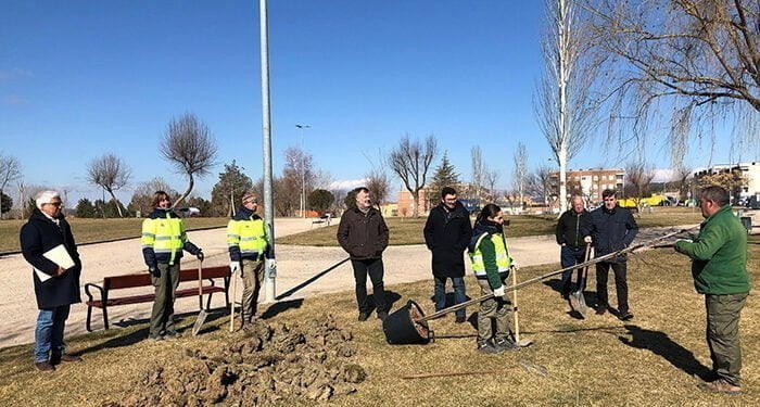 El Ayuntamiento de Cuenca replanta más de medio millar de árboles en viales y parques a través del Plan de Reposición de Marras