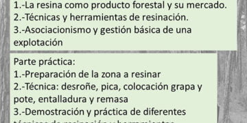El Señorío de Molina-Alto Tajo apuesta de la gestión forestal como motor de desarrollo rural