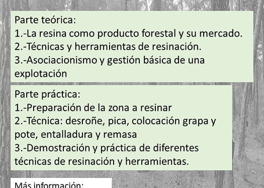 El Señorío de Molina-Alto Tajo apuesta de la gestión forestal como motor de desarrollo rural 1 El Señorío de Molina-Alto Tajo apuesta de la gestión forestal como motor de desarrollo rural