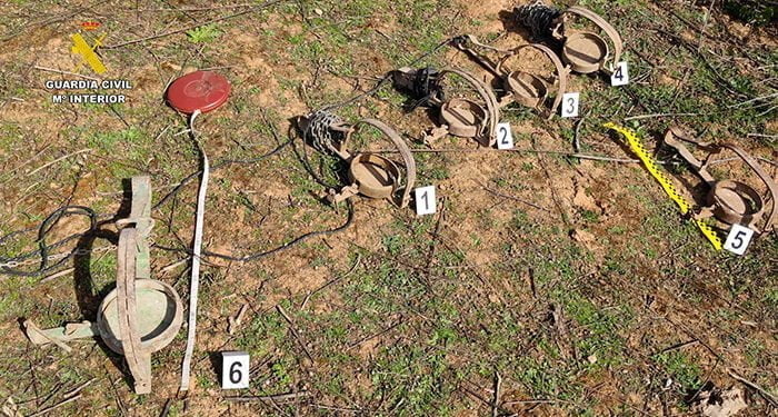 El Seprona investiga en Iriépal a una persona por matar un gato con cepos ilegales de caza