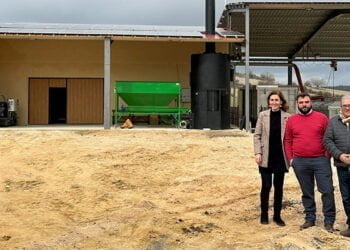 Guadalajara recibe el 68 por ciento de las ayudas agroambientales para plantas aromáticas que concede el Gobierno regional en toda la región