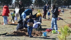 La finca Castillejos de Guadalajara cuenta ya con un pequeño bosque de 300 árboles por las niñas y niños nacidos en 2019