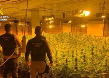 La Guardia Civil de Cuenca desmantela una plantación “indoor” con 1.700 plantas de marihuana en Carboneras de Guadazaón 2 La Guardia Civil de Cuenca desmantela una plantación “indoor” con 1.700 plantas de marihuana en Carboneras de Guadazaón