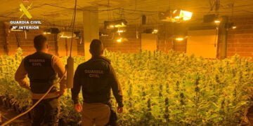 La Guardia Civil de Cuenca desmantela una plantación “indoor” con 1.700 plantas de marihuana en Carboneras de Guadazaón