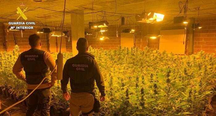 La Guardia Civil de Cuenca desmantela una plantación “indoor” con 1.700 plantas de marihuana en Carboneras de Guadazaón 1 La Guardia Civil de Cuenca desmantela una plantación “indoor” con 1.700 plantas de marihuana en Carboneras de Guadazaón