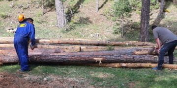 La modernización del sector forestal en los Montes Universales-Alto Tajo es posible