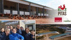 La UCLM y la empresa Rujamar promoverán la avicultura sostenible y la mejora del bienestar de las aves