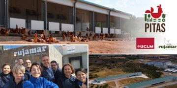 La UCLM y la empresa Rujamar promoverán la avicultura sostenible y la mejora del bienestar de las aves