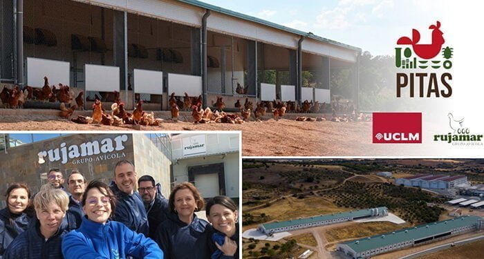 La UCLM y la empresa Rujamar promoverán la avicultura sostenible y la mejora del bienestar de las aves