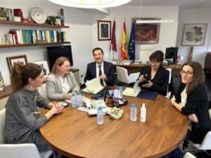 Castilla-La Mancha busca incrementar la rentabilidad del olivar que, con 450.000 hectáreas, ya supera en superficie al viñedo