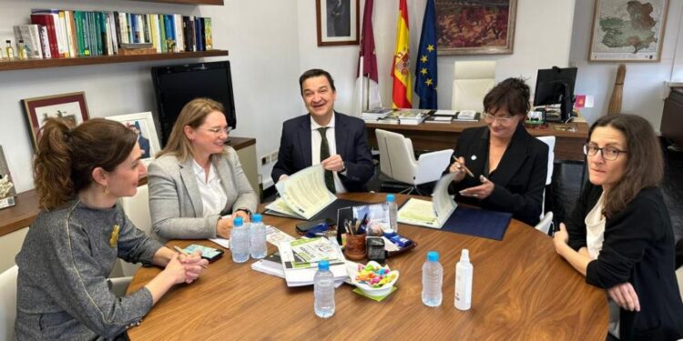 Castilla-La Mancha busca incrementar la rentabilidad del olivar que, con 450.000 hectáreas, ya supera en superficie al viñedo 1 Castilla-La Mancha busca incrementar la rentabilidad del olivar que, con 450.000 hectáreas, ya supera en superficie al viñedo