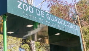 Un hotel para insectos, linces ibéricos, águilas imperiales...., son algunas novedades que se podrán ver en el Zoo de Guadalajara
