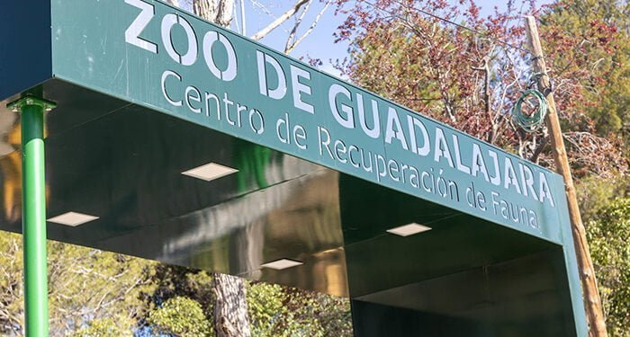 Un hotel para insectos, linces ibéricos, águilas imperiales...., son algunas novedades que se podrán ver en el Zoo de Guadalajara