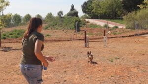 Abierto al uso público la nueva área de recreo canino de la calle El Casar, frente al Parque Elena de la Cruz