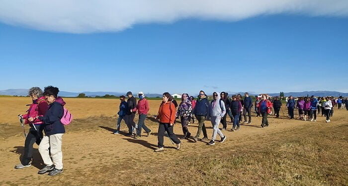 Campiñeando recorrre, en su décimoquinta ruta, diez kilómetros entre Viñueñas y Valdenuño Fernández