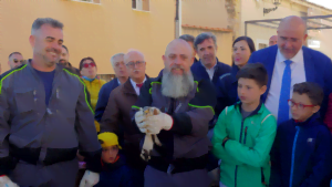 Jábaga. Puesta en libertad de un Cernícalo Plumilla 2 cernicalo