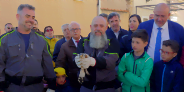 Jábaga. Puesta en libertad de un Cernícalo Plumilla