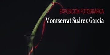Exposición fotográfica de Monserrat Suárez en la Sala Multiusos de la Diputación de Guadalajara