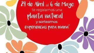 La asociación de comerciantes de Azuqueca - ACEPA regalará 1.000 plantas naturales para celebrar el Día de la Madre.