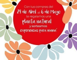 La asociación de comerciantes de Azuqueca - ACEPA regalará 1.000 plantas naturales para celebrar el Día de la Madre.
