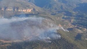La Junta destaca el gran trabajo realizado por el Plan INFOCAM en el incendio de Ocentejo, en las inmediaciones del Parque Natural del Alto Tajo