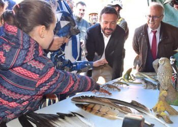 La Junta destinará más de 1,8 millones de euros en el nuevo Centro de Recuperación de Fauna Silvestre de Cuenca, ubicado en Jábaga