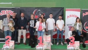 Perretes de pasarela en el I Concurso Nacional Canino de Cabanillas