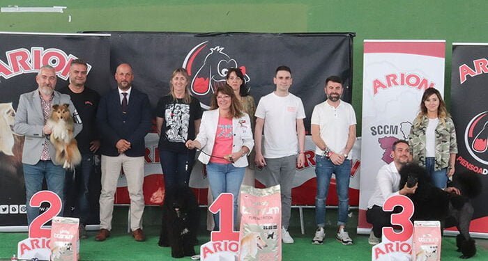 Perretes de pasarela en el I Concurso Nacional Canino de Cabanillas