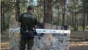 Rapapolvo del TSJC-M a la Junta por incumplir la Ley de Prevención de Riesgos Laborales en la compra de EPIs para los Agentes Medioambientales