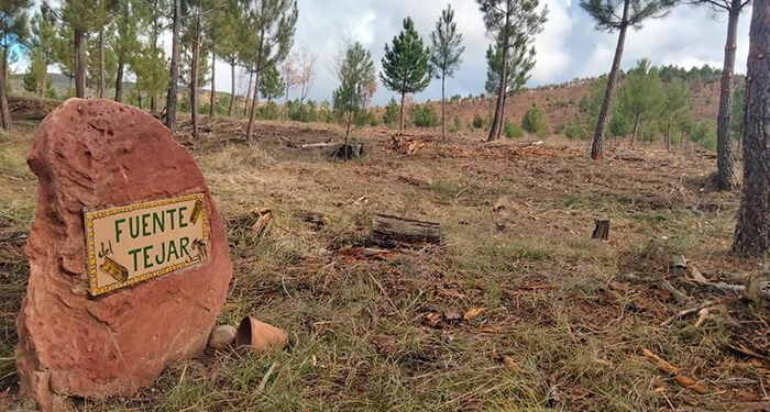 Riba de Saelices, apuesta al verde 1 Riba de Saelices, apuesta al verde