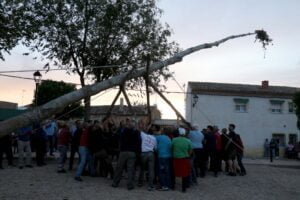 Fuentenovilla ya luce su impresionante mayo en la Plaza de la Iglesia 