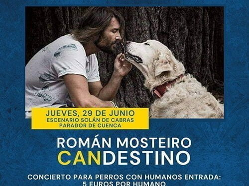 Candestino, concierto para perros y humanos benéfico en Estival Cuenca 23 1 Candestino, concierto para perros y humanos benéfico en Estival Cuenca 23