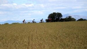 Carlos Hernández y Beatriz Martínez se imponen en Torrejón del Rey en el X Circuito MTB Diputación de Guadalajara