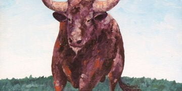Convocada una manifestación antitaurina autonómica en Cuenca el próximo 14 de mayo