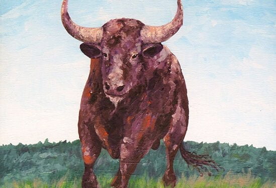 Convocada una manifestación antitaurina autonómica en Cuenca el próximo 14 de mayo