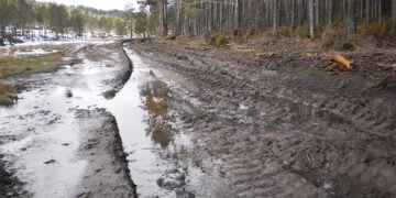 Cuenca en Marcha propone “cambios profundos” tras la reapertura de la causa por delitos ambientales en la Serranía
