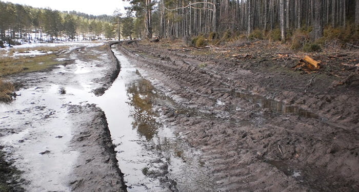 Cuenca en Marcha propone “cambios profundos” tras la reapertura de la causa por delitos ambientales en la Serranía 1 Cuenca en Marcha propone “cambios profundos” tras la reapertura de la causa por delitos ambientales en la Serranía