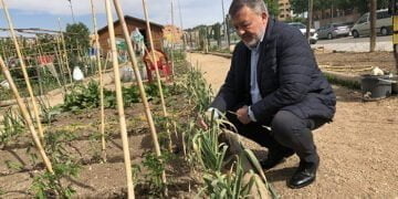 Dolz promoverá la construcción de huertos escolares en los colegios de la capital, como recurso pedagógico