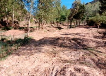 Ecologistas en Acción denuncia ante el SEPRONA un posible delito ambiental al destruir el bosque de ribera en las Chorreras del Cabriel