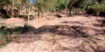 Ecologistas en Acción denuncia ante el SEPRONA un posible delito ambiental al destruir el bosque de ribera en las Chorreras del Cabriel