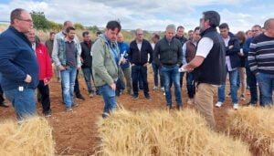 El Centro de Investigación Apícola y Agroambiental de Marchamalo muestra los resultados de sus campos de ensayos de cultivos extensivos