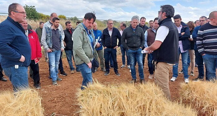 El Centro de Investigación Apícola y Agroambiental de Marchamalo muestra los resultados de sus campos de ensayos de cultivos extensivos