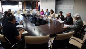 El Consejo Asesor Agrario acuerda que la uva de vinificación no entre en bodega por debajo de nueve grados y solicitar la ampliación de plazo para las ayudas de la PAC