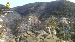 El Seprona investiga a una persona como presunto autor del incendio forestal de Ocentejo