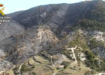 El Seprona investiga a una persona como presunto autor del incendio forestal de Ocentejo